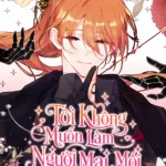 Tôi Không Muốn Làm Người Mai Mối